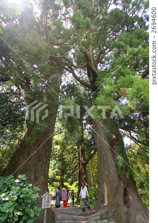 熊野古道 2694600