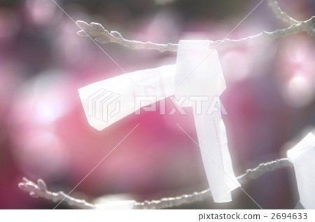 Omikuji 2694633