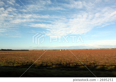 Vineyard in the fall of France France Vineyard in the fall of France France 2695251