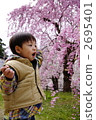 Infants and cherry blossoms 2695401