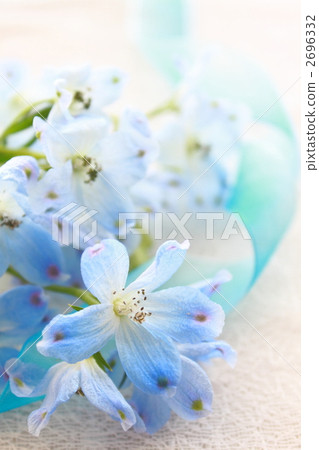 Flower bouquet Delfinium Platinum Blue 2696332