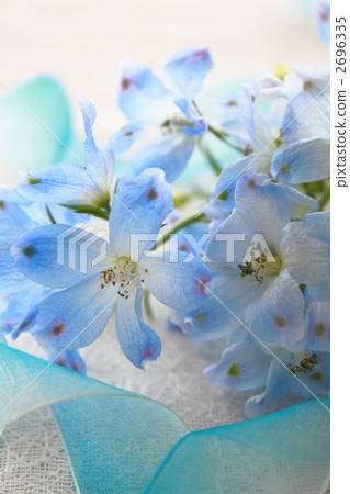 Flower bouquet Delfinium Platinum Blue 2696335