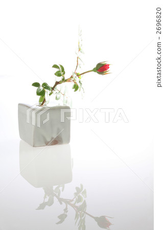 mini rose, vase, ceramic 2696820