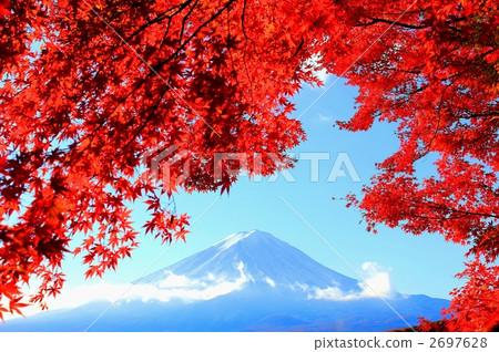 富士和秋葉 2697628