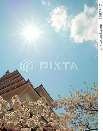 敦賀城堡 2697747