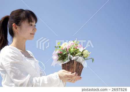 female, females, lady 2697826