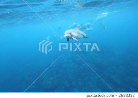 戶外 室外 正面的 2698322