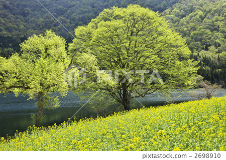 Iiyama Kitaurong長野縣湖 2698910