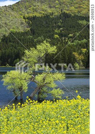 Iiyama Kitaurong長野縣湖 2698913