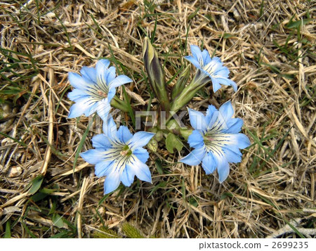 立山林道（Okomoto） 2699235