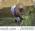 Monkey Takahiko Shrine Mida Festival / Rice Planting Festival 2699990