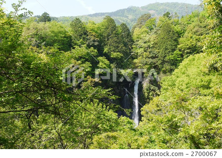 Hakodate waterfall Hakodate waterfall 2700067