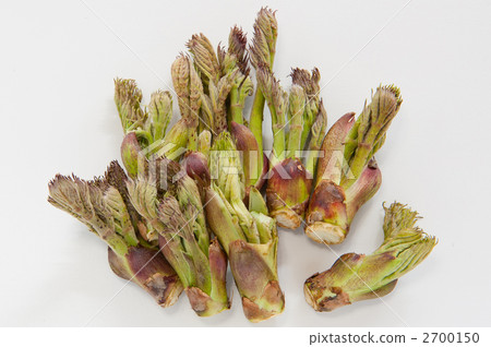 Tara bud 2700150