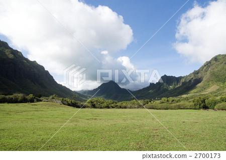 kualoa ranch, mountain, meadow 2700173