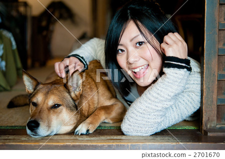 人物 柴犬 叢林犬 2701670