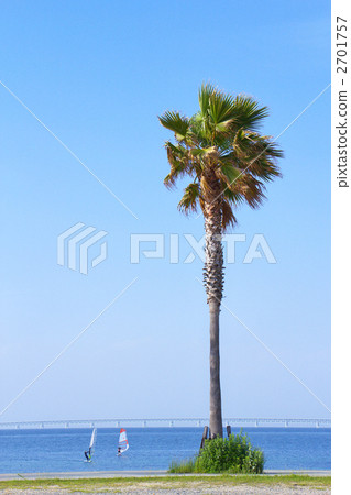 南部海灘 南部海灘 2701757