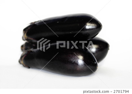 茄子 2701794