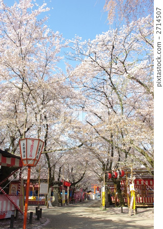 平野神社平野神社 2714507
