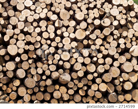 一個日誌 2714599