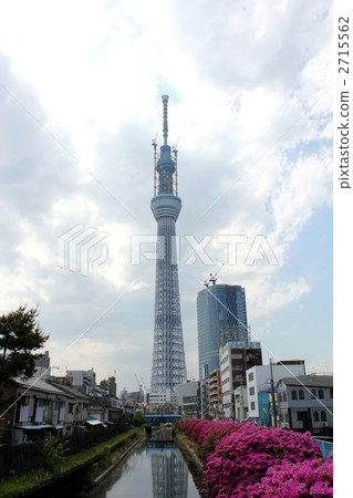 從十勝橋看的東京天空樹 從十勝橋看的東京天空樹 2715562
