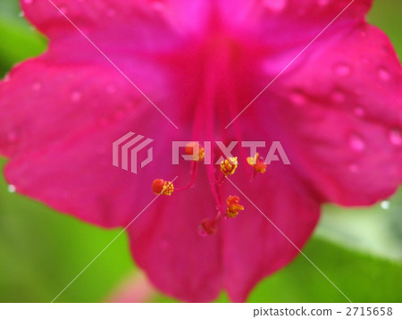 Osloi burner Osloi burner 2715658