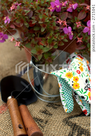 Gardening Supplies Gardening Supplies 2715841