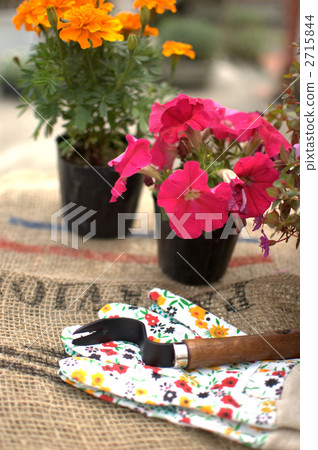 園藝用品 園藝用品 2715844