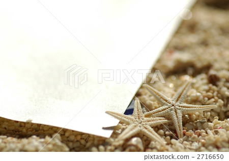 來自夏天的來信 2716650