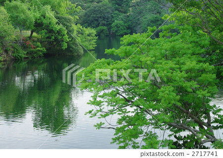 在水邊的新鮮綠色 在水邊的新鮮綠色 2717741