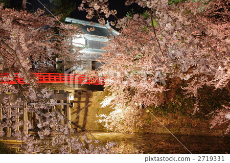 Cherry blossoms at the water's edge - Hirosaki Park 2011 (Oga no Ohashi) 2719331