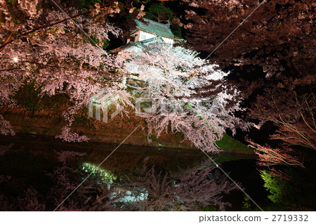 Tatsumi Tower - Hirosaki Park 2719332