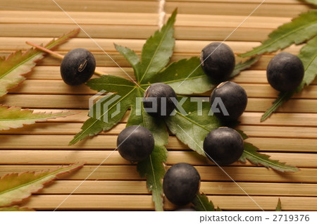 黑豆 黑豆 2719376