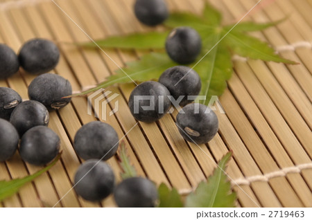 Tanba's black bean 2719463