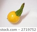 Round Zucchini 2719752