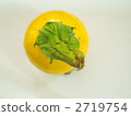 Round Zucchini 2719754