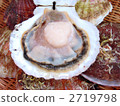 Scallops 2719798