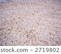 Rice koji 2719802