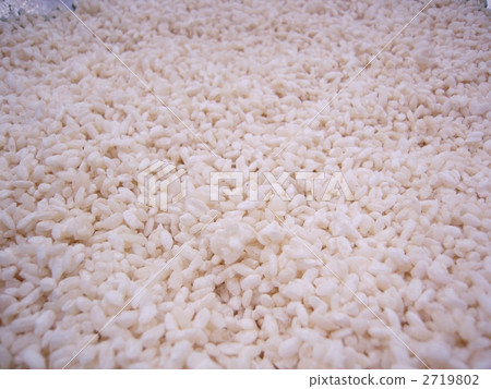 Rice koji Rice koji 2719802