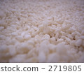 Rice koji 2719805