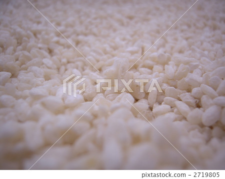 Rice koji 2719805
