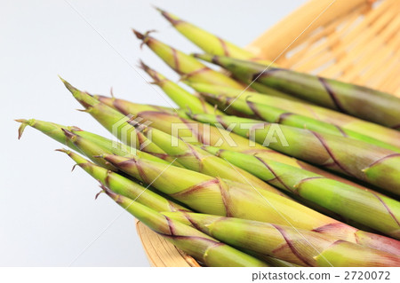 Nemagaritake Bamboo 2720072