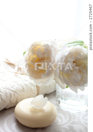 Grammys castle 2720467