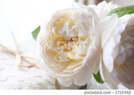 Grammys castle 2720468