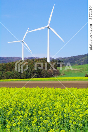 油菜花田 風能 電力 2721504