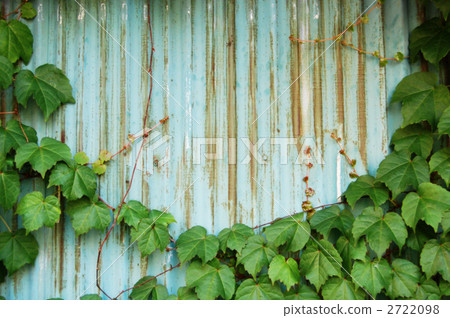 錫牆和藤蔓。 2722098