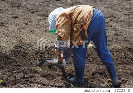 Spring fields 2722540