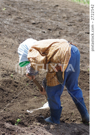 春天的田野 2722542