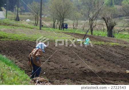 春天的田野 2722543