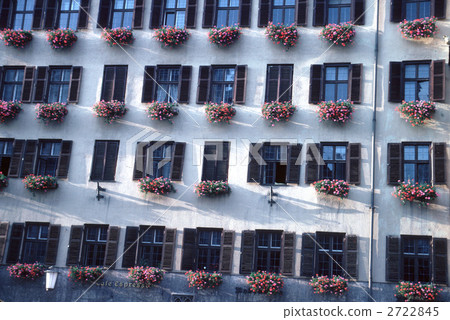 65925 Flower of the window side Geranium 2722845