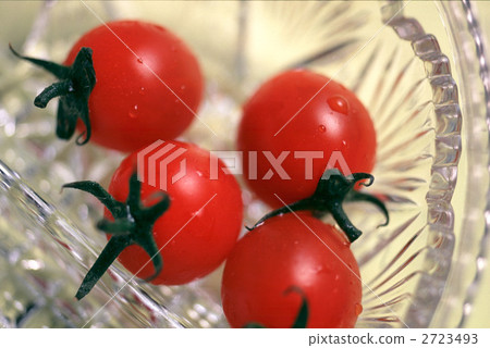 66098番茄 2723493